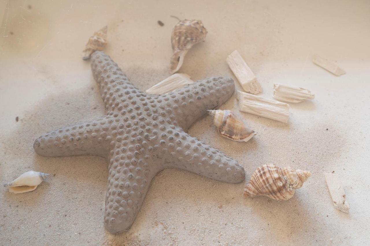 Grömitz Strandfee Sommerglueck מראה חיצוני תמונה